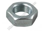 Oasis 026824-019 Hex Nut