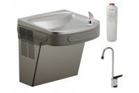 Elkay LZS8LF Filtered Drinking Fountain with Glass Filler