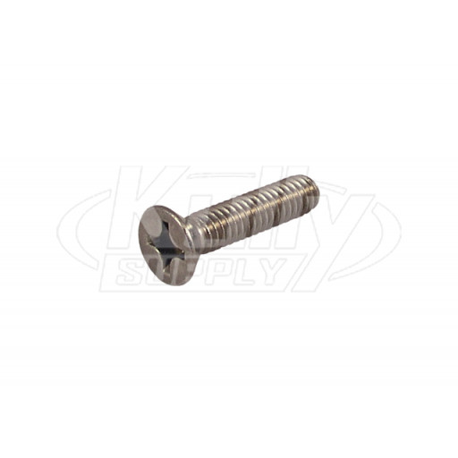 T&S Brass 000913-45 Sprayface Screw For Spray Valve