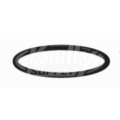 Sloan G-85 Filter O-Ring