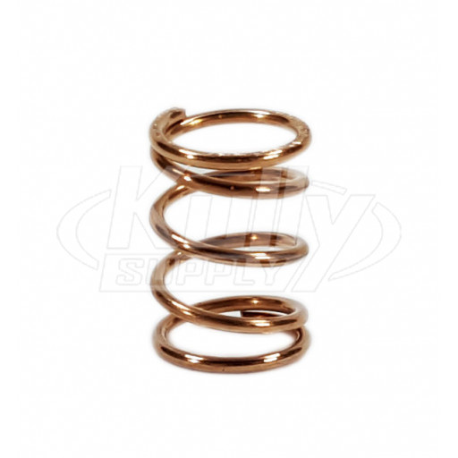 T&S Brass 000894-45M Spring (Qty 25)