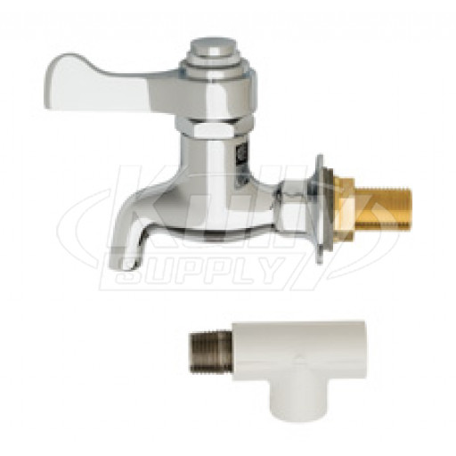 Haws 6250LF Self-Closing Bib Faucet