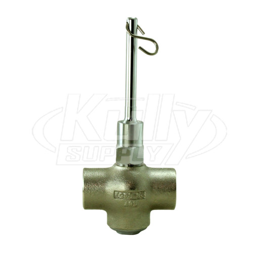 Speakman SE-901 Self-Closing Valve, 1" Female Inlet, 1" Female Outlet