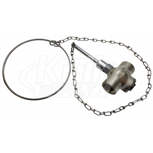 Speakman SE-901-CR Self-Closing Valve, 1" Female Inlet, 1" Female Outlet, Includes Chain & Ring