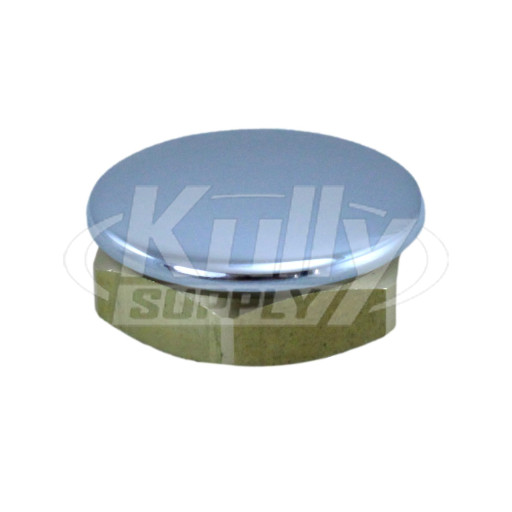 Acorn 4005-050-001 Blank Escutcheon Button For Standard "D" Punch