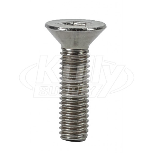 Allen Flat Head Screw (10-32X 3/4" S/S) (10PK)