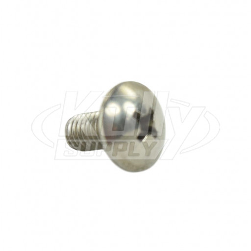 Acorn 0116-016-001 Phillips Truss Head Screw (10 pack)