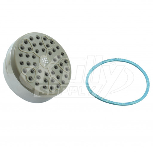 Symmons RO-010 Showerhead Face & Gasket