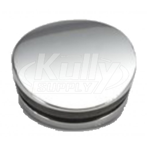 Zurn P6950-XL-C Mixing Handle Plug Cap