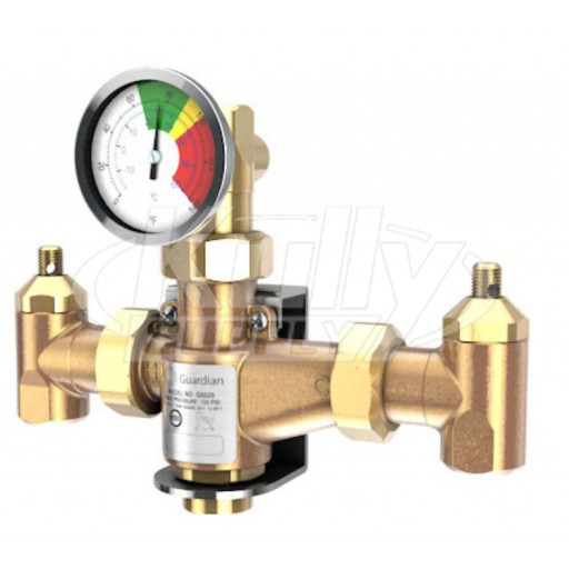 Guardian G6020 13 GPM Thermostatic Mixing Valve