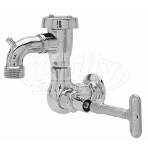 Fisher 29548 Faucet
