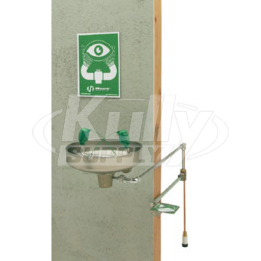 Haws 7433FP Freeze-Resistant Wall-Mounted Eye/Face Wash