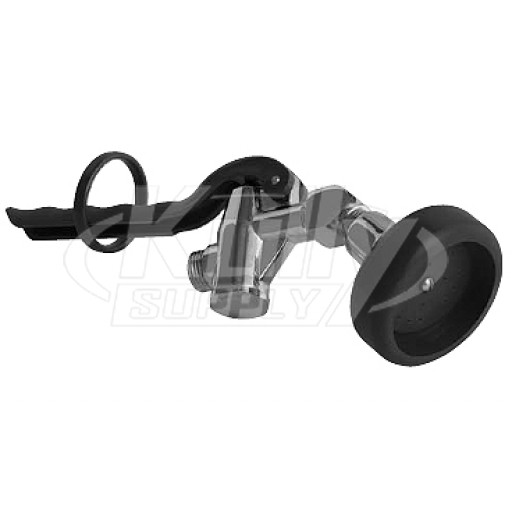 Chicago 81-LCP 45 Angle Pre-Rinse Spray Valve
