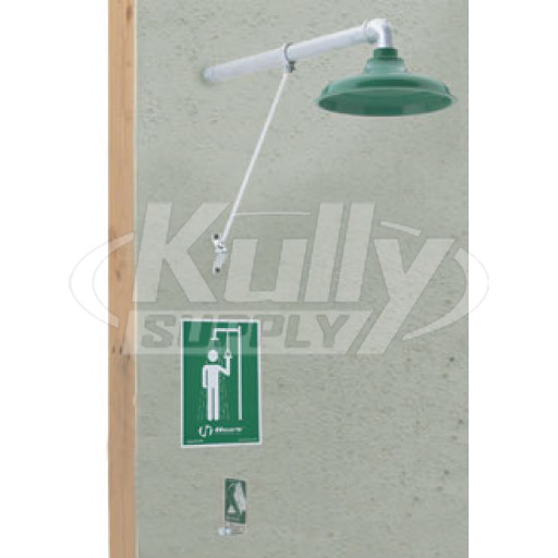 Haws 8111FP Wall-Mounted Freeze-Resistant Drench Shower
