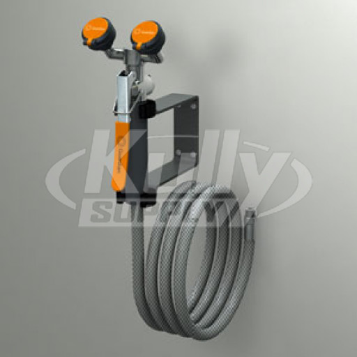 Guardian G5026 Wall-Mounted Combination Drench Hose & Eyewash