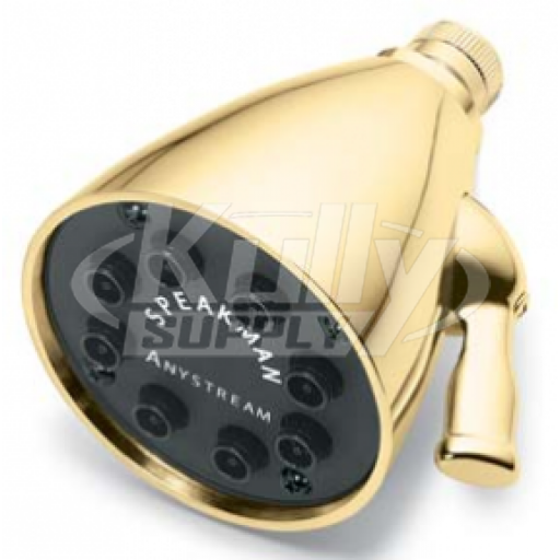 Speakman S-2251-PB 8-Jet Anystream Showerhead - Polished Brass