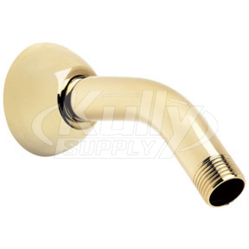 Speakman S-2520-PB 5 1/2" Arm & Flange w/ 1/2" MNPT Inlet & Outlet - Polished Brass