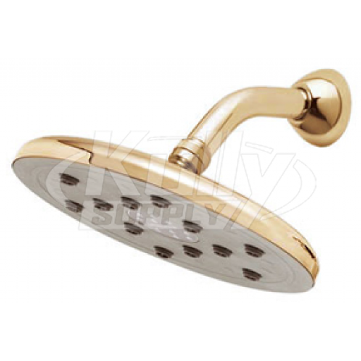 Speakman S-2559-PB Downpour Rain Showerhead - Polished Brass (Discontinued)