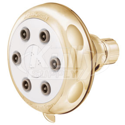 Speakman S-2620-PB 6 Jet Anystream Euro Showerhead - Polished Brass