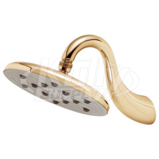 Speakman S-2659-PB Downpour Rain Showerhead - Polished Brass (Discontinued)