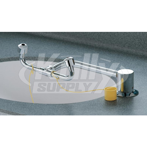 Bradley S19-270C Swing-Activated Eyewash