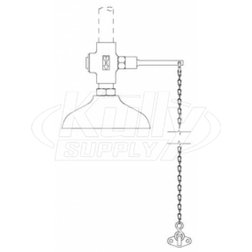 Speakman SE-201 Drench Shower