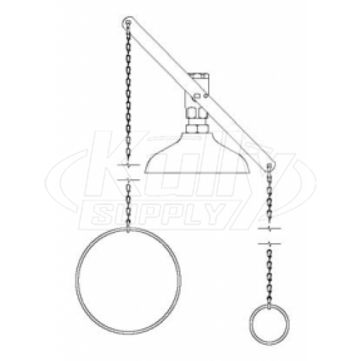 Speakman SE-216 Drench Shower