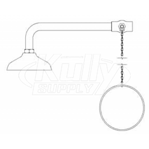 Speakman SE-225 Drench Shower