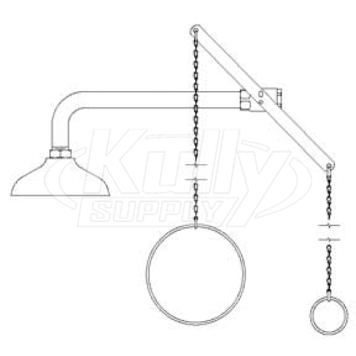 Speakman SE-226 Drench Shower