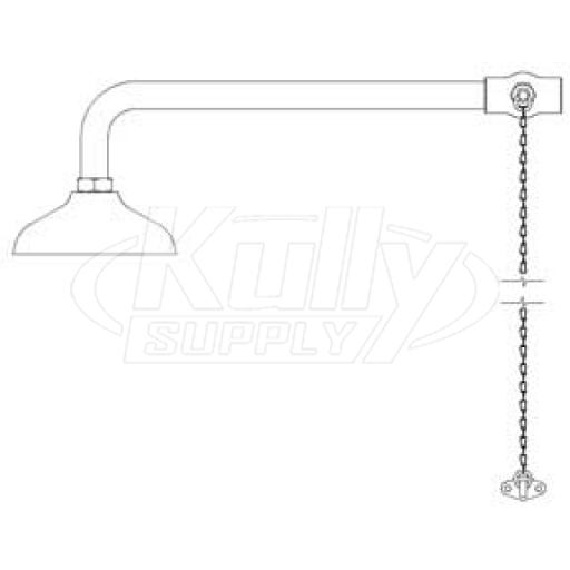 Speakman SE-231 Drench Shower