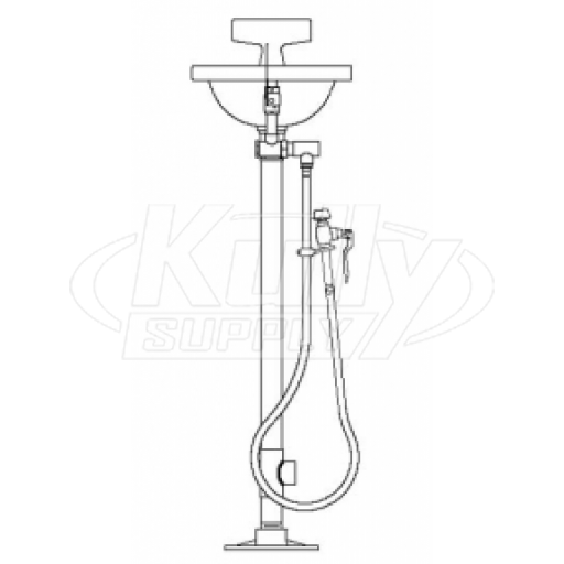 Speakman SE-430 Pedestal-Mounted Eye/Face Wash