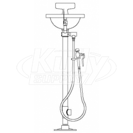 Speakman SE-431 Pedestal-Mounted Eye/Face Wash