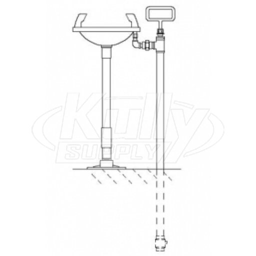 Speakman SE-441 Pedestal-Mounted Eye/Face Wash (with Rectangular Plastic Receptor)