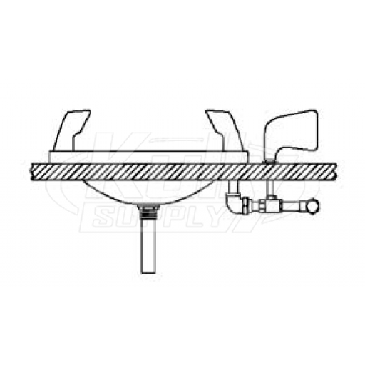 Speakman SE-460 Countertop-Mounted Eye/Face Wash (with Stainless Steel Receptor)