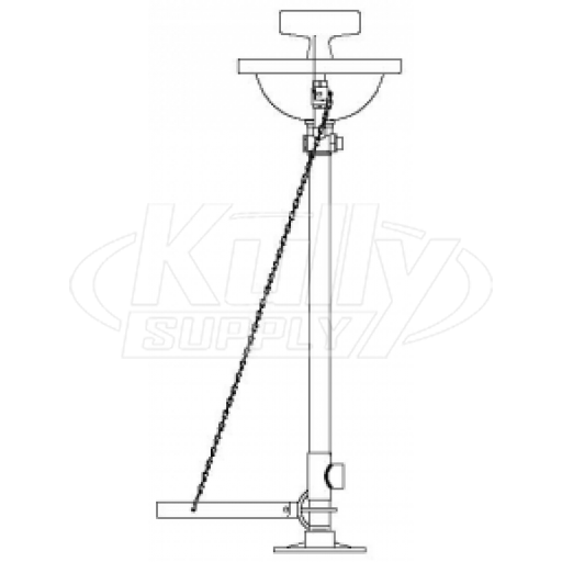 Speakman SE-480 Pedestal-Mounted Eye/Face Wash (with Rectangular Stainless Steel Receptor)