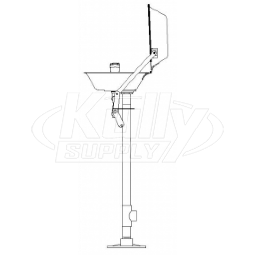 Speakman SE-491-CV Pedestal-Mounted Eye/Face Wash (with Stainless Steel Receptor and Stainless Steel Cover)