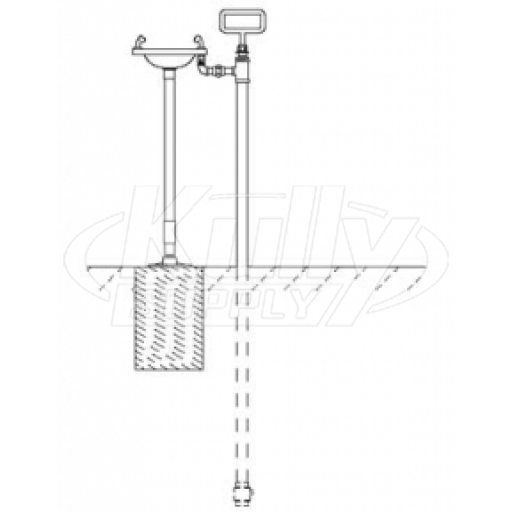 Speakman SE-556 Pedestal-Mounted Eyewash (with Plastic Receptor)