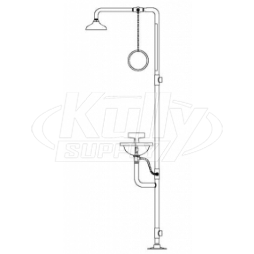 Speakman SE-602 Combination Drench Shower & Eye/Face Wash (with Impeller Action Showerhead)