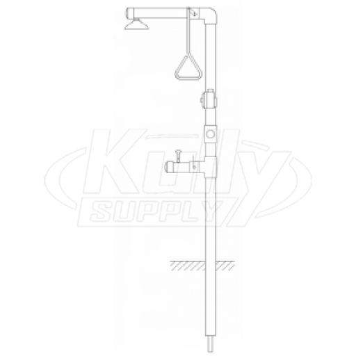 Speakman SE-6100-C1D2 Freeze-Protected Combination Drench Shower & Eye/Face Wash