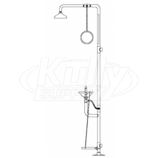 Speakman SE-610 Combination Drench Shower & Eyewash (with Rectangular Stainless Steel Receptor and Impeller Action Showerhead)