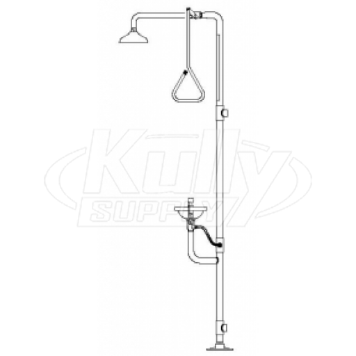 Speakman SE-617 Combination Drench Shower & Eyewash