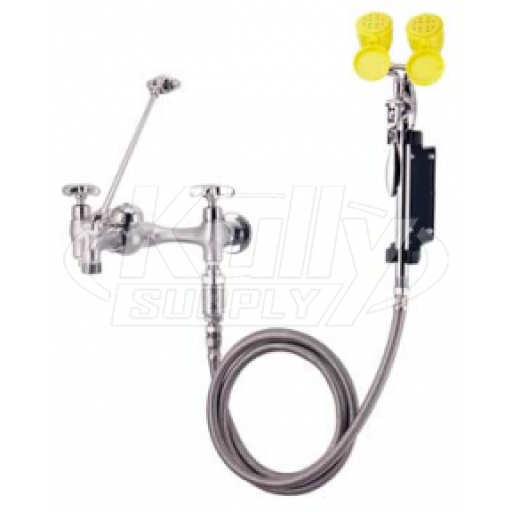 Speakman SEF-9000-FM Wall-Mounted Service Sink Eyewash (with Drench Hose)