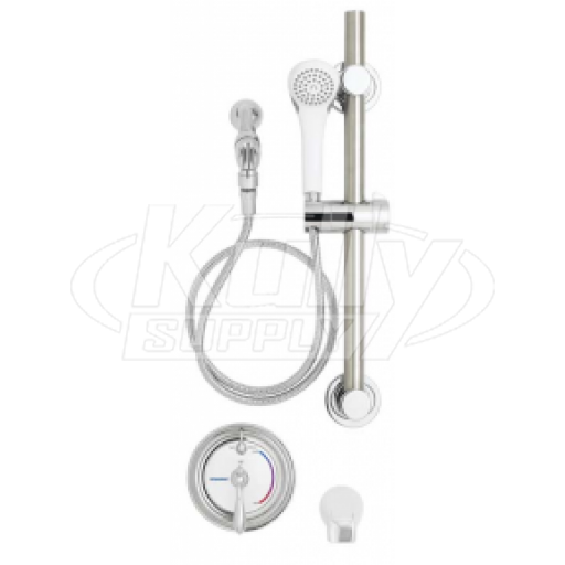Speakman SM-3490-ADA Balanced Pressure Handicap Shower Combination