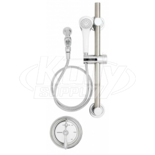 Speakman SM-4480-ADA Balanced Pressure Handicap Shower Combination