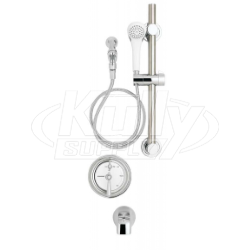 Speakman SM-4491-ADA Balanced Pressure Handicap Shower Combination