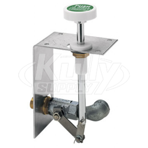 Haws SP256 Push-Down Handle and Valve Assembly