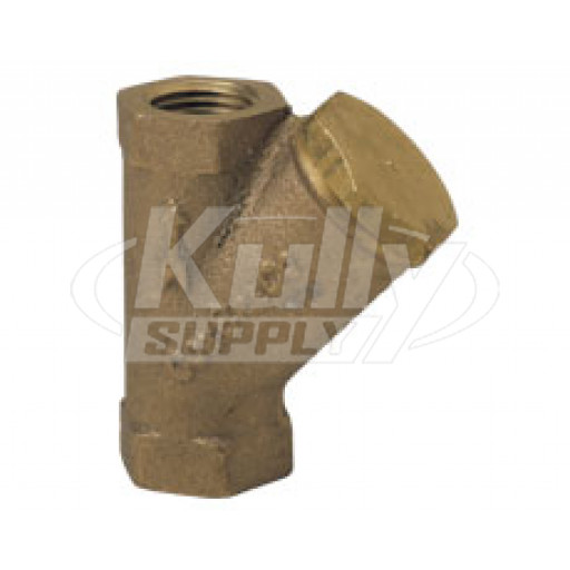 Haws SP502 Eyewash In-Line Y-Strainer