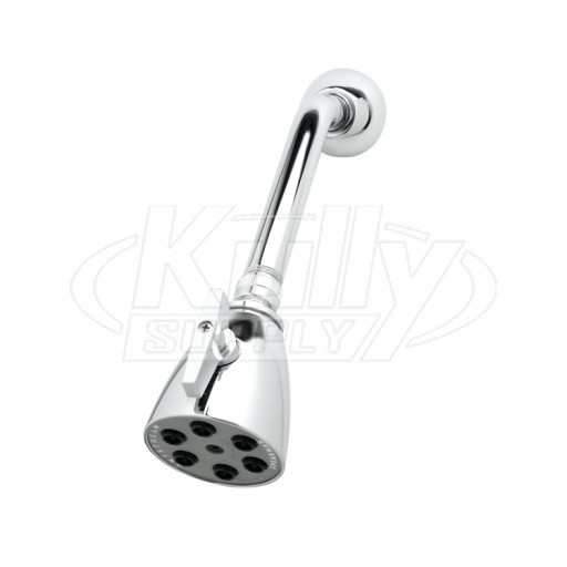 T&S Brass B-1091 Shower Head 