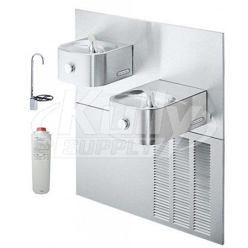 Elkay LNTE8FK Filtered In-Wall Dual Drinking Fountain with Glass Filler