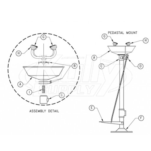 Pedestal Eye/Face Wash